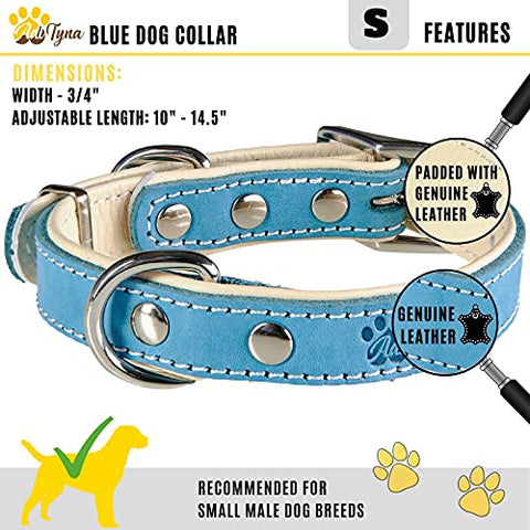 ADITYNA Padded Leather Dog Collar – Boy Dog Collars – Blue Dog Collars for Small Male Dogs