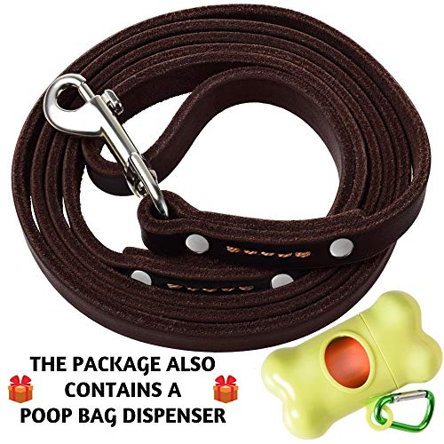 ADITYNA Leather Dog Leash 6 Foot - Soft and Strong Leather Leash for Small and Medium Dog (6 ft x 1/2