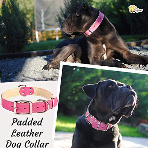 ADITYNA Padded Leather Dog Collar – Girl Dog Collars – Pink Dog Collars for Large Female Dogs