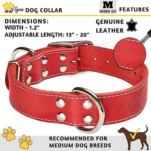 ADITYNA Heavy Duty Leather Dog Collar - Soft and Strong Red Dog Collar for Medium Dogs (Medium: Fit 13" - 20" Neck, Red)