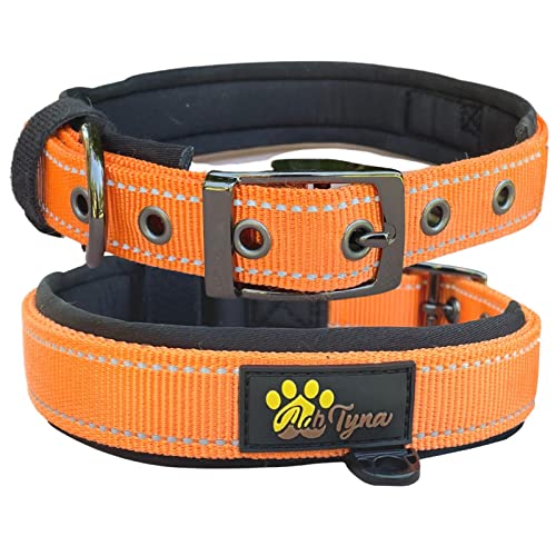 Adityna - Dog Collar for Large Dogs - Heavy Duty Orange Dog Collar for Large Breeds - Reflective Threads and Soft Padding (Large, Orange)