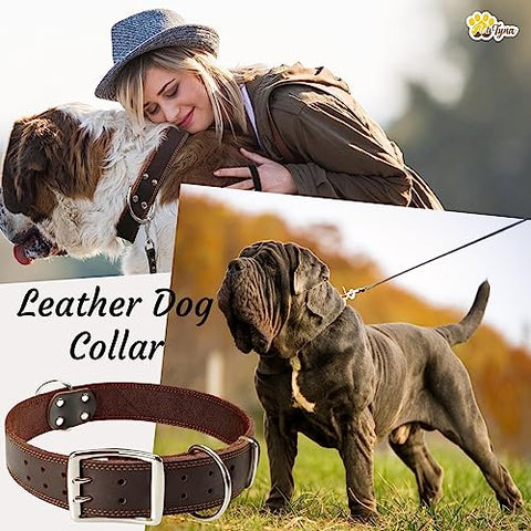 ADITYNA Big Leather Dog Collar - XXL Dog Collar for Giant Breeds Such as Mastiff (Giant: Fit 30" - 36" Neck, Brown)