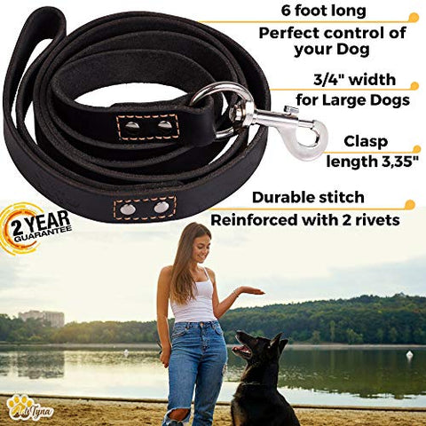 Leather Dog Leash 6 Foot x 3/4 inch - Strong and Soft Leather Leash for Large and Medium Dogs - Dog Training Leash (Black)