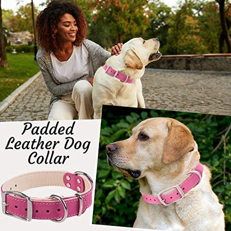 ADITYNA Padded Leather Dog Collar – Girl Dog Collars – Pink Dog Collars for Medium Female Dogs