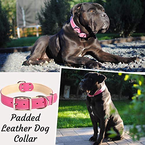 ADITYNA Padded Leather Dog Collar – Girl Dog Collars – Pink Dog Collars for Extra-Large Female Dogs