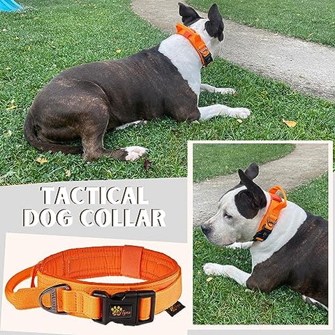 ADITYNA - Tactical Dog Collar for Large Dogs - Soft Padded, Heavy Duty, Adjustable Orange Dog Collar with Handle for Training and Walking