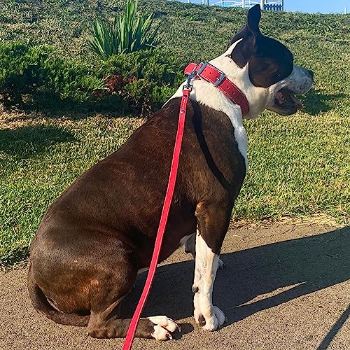 ADITYNA - Premium Leather Dog Leash - 6 ft, Heavy-Duty, Soft & Strong for Small/Medium Dogs (Small: 6 ft x 1/2