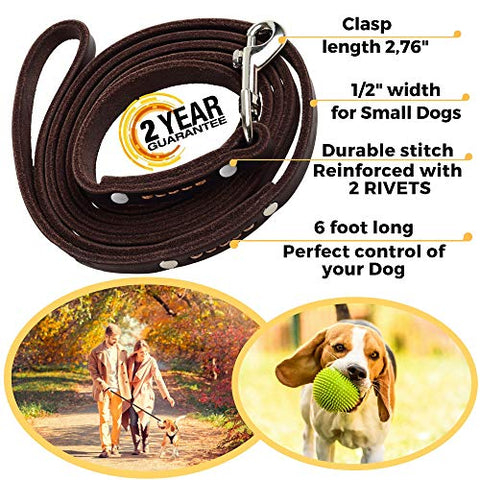 ADITYNA Leather Dog Leash 6 Foot - Soft and Strong Leather Leash for Small and Medium Dog (6 ft x 1/2", Brown)