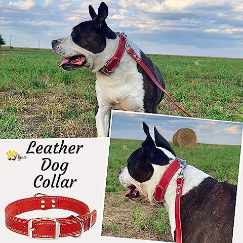 Heavy Duty Red Leather Dog Collar - Soft and Strong Dog Collar for Large Dogs