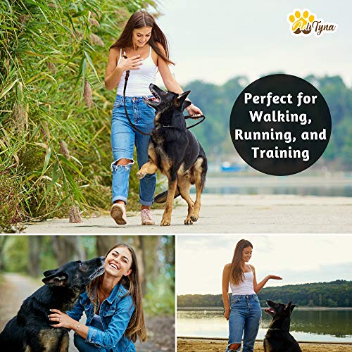 Braided Leather Dog Leash 6 ft x 5/8