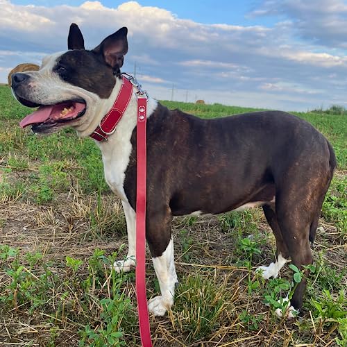 Extra-Large Red Leather Dog Collar - Comfortable and Secure for Giant Breeds