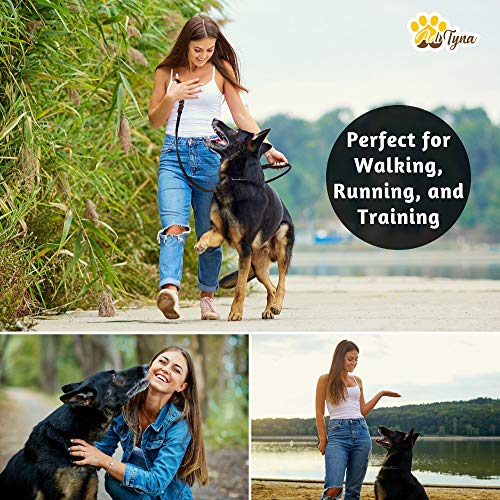 Braided Leather Dog Leash 6 ft x 3/4