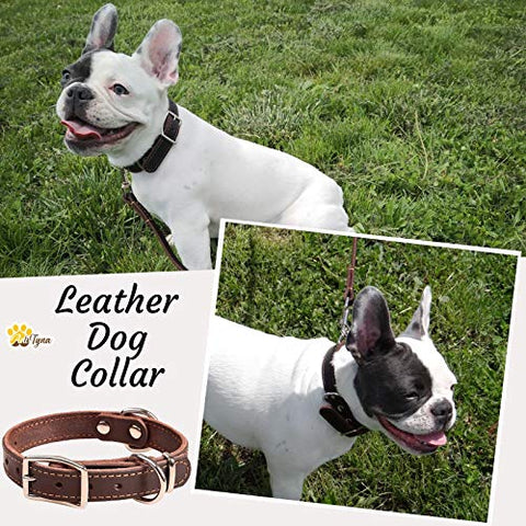 Leather Dog Collar for Puppy and Small Dogs - Heavy Duty Wide Dog Collars (S: ¾ Width / 10"- 14,5" Length, Brown)