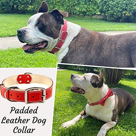 ADITYNA Padded Leather Dog Collar – Soft and Strong Red Dog Collars – Heavy Duty Dog Collars for Extra-Large Dogs
