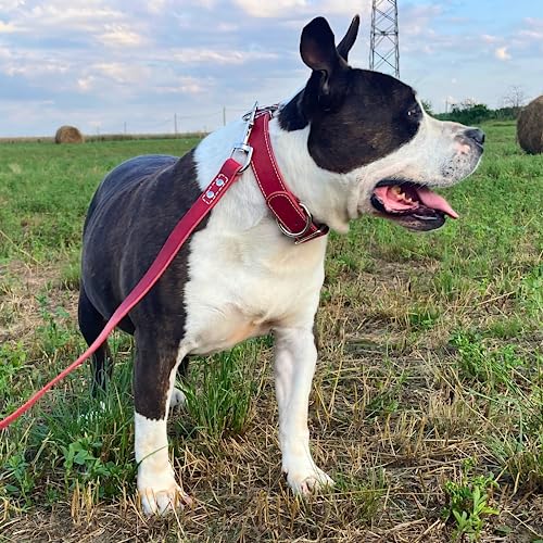 Heavy Duty Red Leather Dog Collar - Soft and Strong Dog Collar for Large Dogs