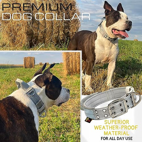 ADITYNA - Heavy-Duty Dog Collar with Handle - Reflective Gray Dog Collar for Large Dogs - Wide, Thick, Tactical, Soft Padded