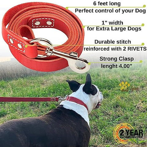 Heavy Duty Leather Dog Leash 6ft - Strong and Soft Leather Leash for Extra-Large, and Large Dogs - Dog Training Lead (Red, XL - 6 ft x 1 inch)
